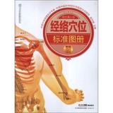 正版包邮 经络穴位标准图册 吴中朝